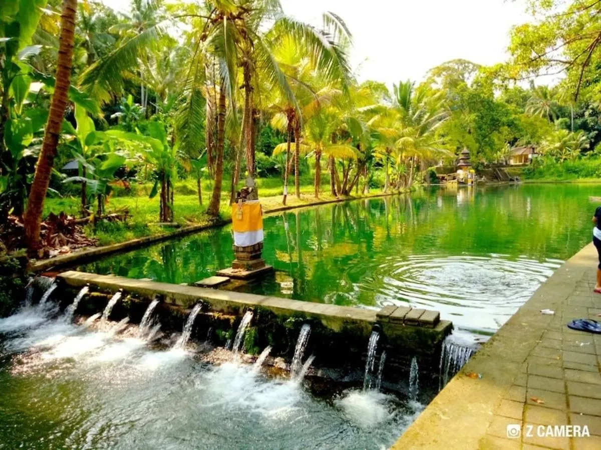 Lovely Sunrise 3 Bedroom Villa Ubud