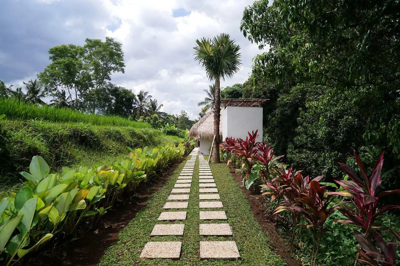 Lovely Sunrise 3 Bedroom Villa Ubud