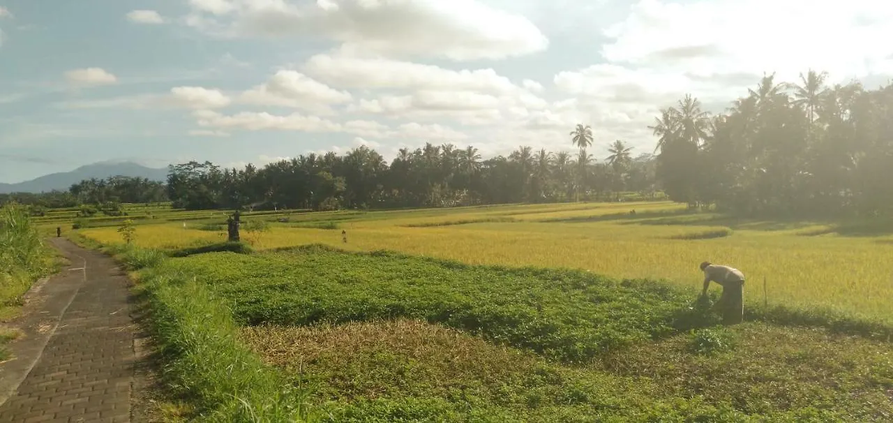 Lovely Sunrise 3 Bedroom Villa Ubud Indonesien