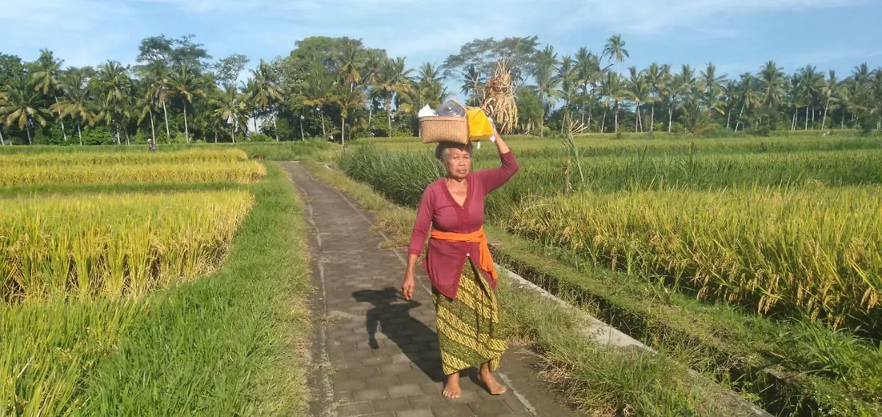 Lovely Sunrise 3 Bedroom Villa Ubud 0*,  Indonesien