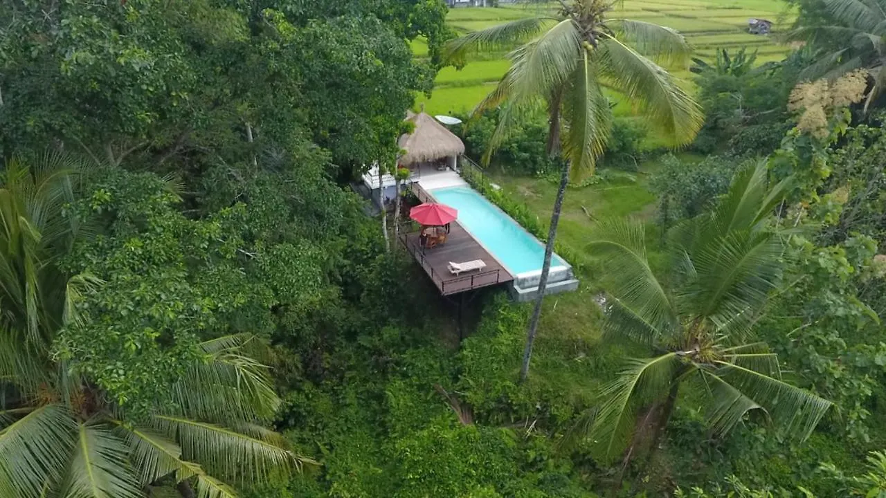 Lovely Sunrise 3 Bedroom Villa Ubud